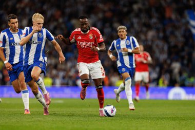 Victor Froholdt and Dodi Lukebakio seen during Liga Portugal game between teams of FC Porto and SL Benfica at Estadio do Dragao (Maciej Rogowski/Ball Raw Images)