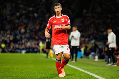 Samuel Dahl seen during Liga Portugal game between teams of FC Porto and SL Benfica at Estadio do Dragao (Maciej Rogowski/Ball Raw Images)