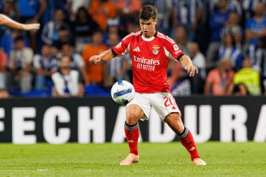 Samuel Dahl seen during Liga Portugal game between teams of FC Porto and SL Benfica at Estadio do Dragao (Maciej Rogowski/Ball Raw Images)