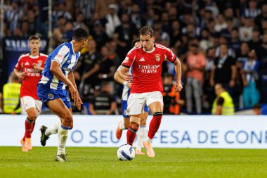 Amar Dedic seen during Liga Portugal game between teams of FC Porto and SL Benfica at Estadio do Dragao (Maciej Rogowski/Ball Raw Images)