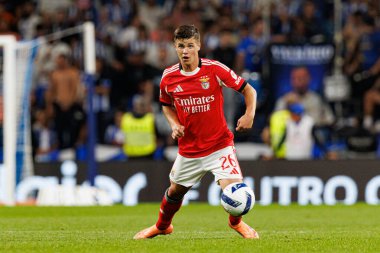 Samuel Dahl seen during Liga Portugal game between teams of FC Porto and SL Benfica at Estadio do Dragao (Maciej Rogowski/Ball Raw Images)