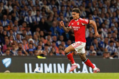 Richard Rios seen during Liga Portugal game between teams of FC Porto and SL Benfica at Estadio do Dragao (Maciej Rogowski/Ball Raw Images)