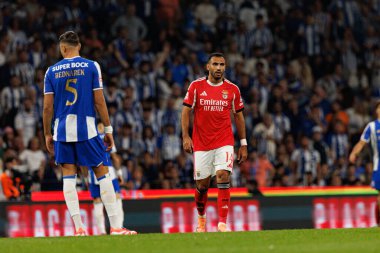 Jan Bednarek and Vangelis Pavlidis seen during Liga Portugal game between teams of FC Porto and SL Benfica at Estadio do Dragao (Maciej Rogowski/Ball Raw Images)