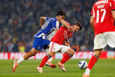Gabri Veiga  and Samuel Dahl seen during Liga Portugal game between teams of FC Porto and SL Benfica at Estadio do Dragao (Maciej Rogowski/Ball Raw Images)