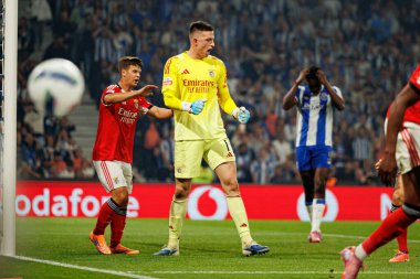 Samuel Dahl and Anatoliy Trubin seen during Liga Portugal game between teams of FC Porto and SL Benfica at Estadio do Dragao (Maciej Rogowski/Ball Raw Images)