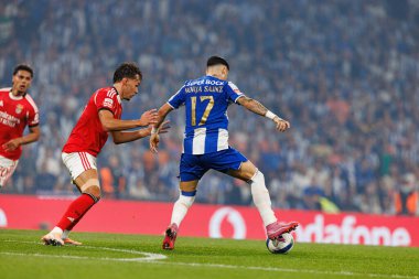 Amar Dedic and Borja Sainz seen during Liga Portugal game between teams of FC Porto and SL Benfica at Estadio do Dragao (Maciej Rogowski/Ball Raw Images)