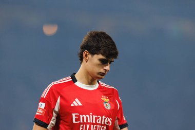 Antonio Silva seen during Liga Portugal game between teams of FC Porto and SL Benfica at Estadio do Dragao (Maciej Rogowski/Ball Raw Images)