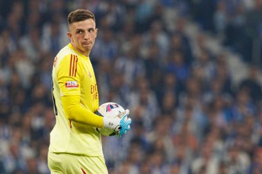 Anatoliy Trubin seen during Liga Portugal game between teams of FC Porto and SL Benfica at Estadio do Dragao (Maciej Rogowski/Ball Raw Images)