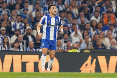 Pepe seen during Liga Portugal game between teams of FC Porto and SL Benfica at Estadio do Dragao (Maciej Rogowski/Ball Raw Images)