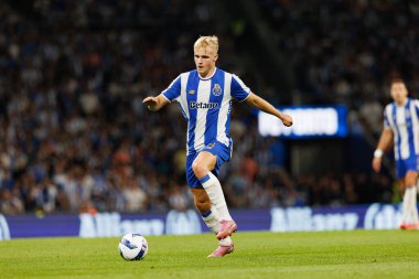 Victor Froholdt seen during Liga Portugal game between teams of FC Porto and SL Benfica at Estadio do Dragao (Maciej Rogowski/Ball Raw Images)
