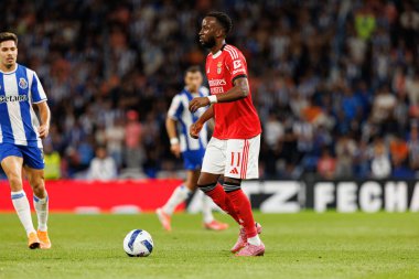 Dodi Lukebakio seen during Liga Portugal game between teams of FC Porto and SL Benfica at Estadio do Dragao (Maciej Rogowski/Ball Raw Images)