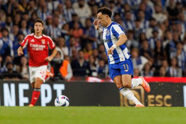Pepe seen during Liga Portugal game between teams of FC Porto and SL Benfica at Estadio do Dragao (Maciej Rogowski/Ball Raw Images)