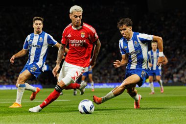 Francisco Moura, Enzo Barrenechea and Gabri Veiga seen during Liga Portugal game between teams of FC Porto and SL Benfica at Estadio do Dragao (Maciej Rogowski/Ball Raw Images)