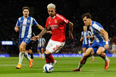 Francisco Moura, Enzo Barrenechea and Gabri Veiga seen during Liga Portugal game between teams of FC Porto and SL Benfica at Estadio do Dragao (Maciej Rogowski/Ball Raw Images)