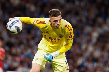Anatoliy Trubin seen during Liga Portugal game between teams of FC Porto and SL Benfica at Estadio do Dragao (Maciej Rogowski/Ball Raw Images)