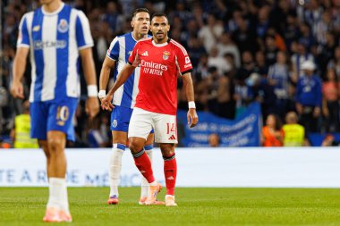 Jan Bednarek and Vangelis Pavlidis seen during Liga Portugal game between teams of FC Porto and SL Benfica at Estadio do Dragao (Maciej Rogowski/Ball Raw Images)