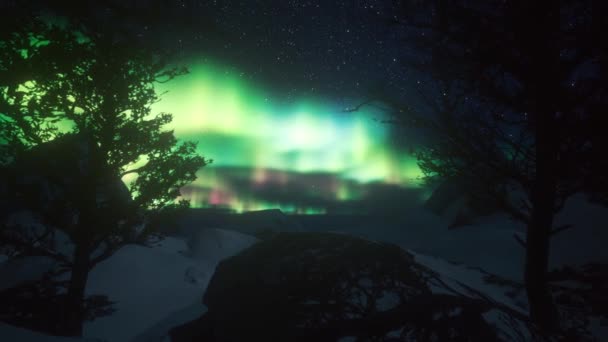 Aurora Borealis Northern Lights Sobre Paisagem Inverno Luz Lua Árvores — Vídeo de Stock