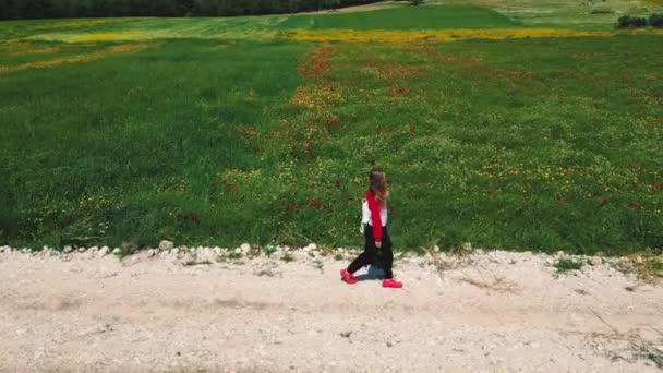 一个女孩独自走在路上的田野里 高质量的4K镜头 — 图库视频影像