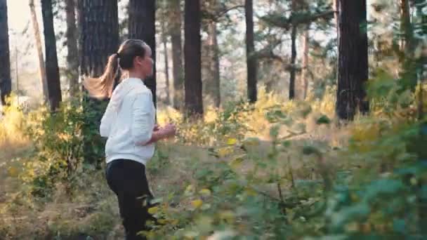 Νεαρή Γυναίκα Δρομέας Εκπαίδευση Στο Καλοκαιρινό Πάρκο Κοντινό Πλάνο Γυμναστικής — Αρχείο Βίντεο