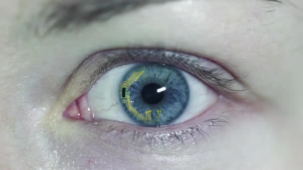Blå Öga Makro Genomförs Med Virtuell Verklighet Futuristisk Vision Verkligheten — Stockvideo