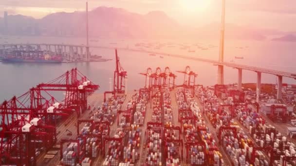 홍콩의 항구에 거대한 콘테이너 그리고 운반대 고품질 — 비디오