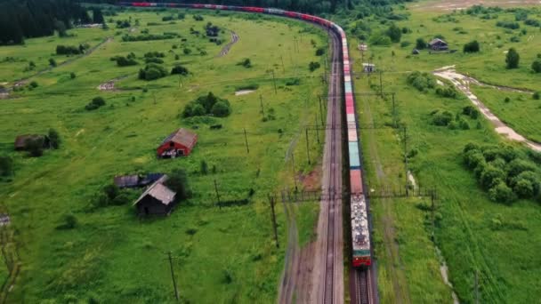 숲에서 열차를 타고의 고품질 — 비디오