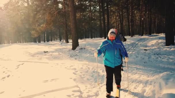 Медленное Движение Зрелая Пара Катается Лыжах Лесу Зимой Высококачественные Кадры — стоковое видео