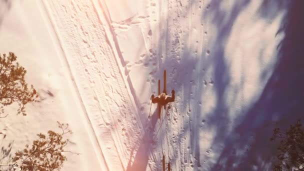 Zeitlupe Reifes Paar Beim Skifahren Wald Winter Hochwertiges Filmmaterial — Stockvideo