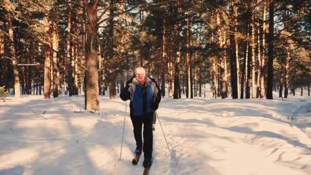 Gerakan Lambat Pasangan Dewasa Bermain Ski Hutan Waktu Musim Dingin — Stok Video
