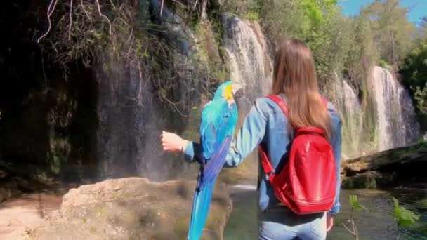 Kvinna Resenär Med Papegojor Den Vackra Parken Med Vattenfall Bakgrund — Stockvideo