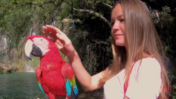 Female Traveler Parrots Beautiful Park Waterfalls Background High Quality Footage — Stock Video