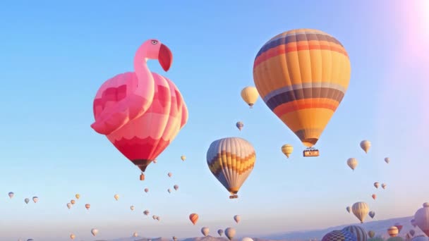 Varmluftsballong Tillverkad Flamingo Form Ballongfestivalen Kappadokien Turkiet Högkvalitativ Film — Stockvideo