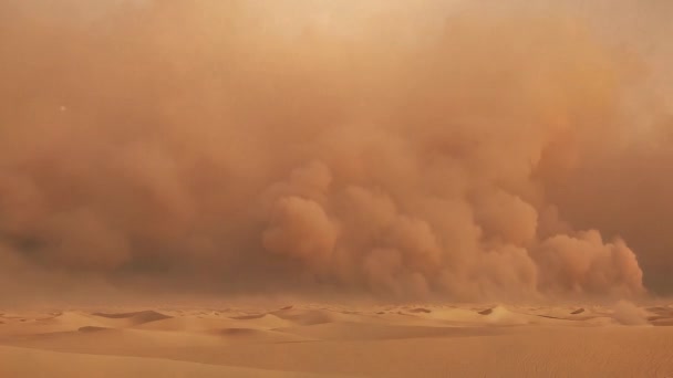 Sandsturm Der Wüste Hitze Den Dünen Hochwertiges Filmmaterial — Stockvideo