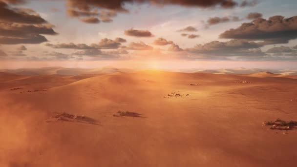 Prachtige Zonsondergang Vanuit Lucht Met Eenzame Bomen Sahara Woestijn Saoedi — Stockvideo