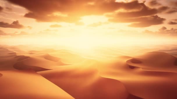 Hermosa Vista Aérea Atardecer Con Árboles Solitarios Desierto Del Sahara — Vídeos de Stock