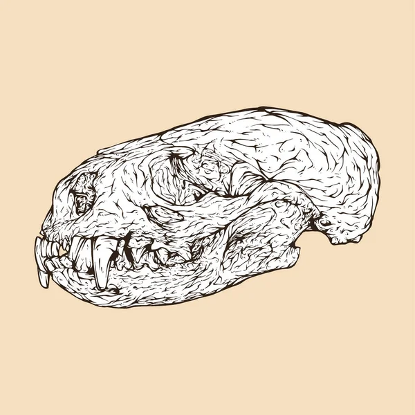 Illustration Vectorielle Tête Crâne Loutre Rivière — Image vectorielle