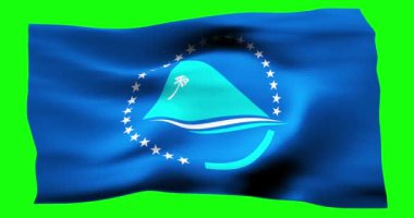Pasifik Topluluğu 'nun gerçekçi bayrağı. Rüzgarın dalgalı dokusunun gösterimi.