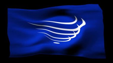 Güney Amerika Ulusları Birliği 'nin gerçekçi bayrağı. Rüzgarın dalgalı dokusunun gösterimi.