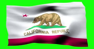 Kaliforniya 'nın gerçekçi bayrağı. Rüzgarın dalgalı dokusunun gösterimi.
