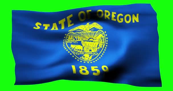 Realistiska Viftande Flagga Oregon Illustration Vindens Vågiga Struktur — Stockvideo