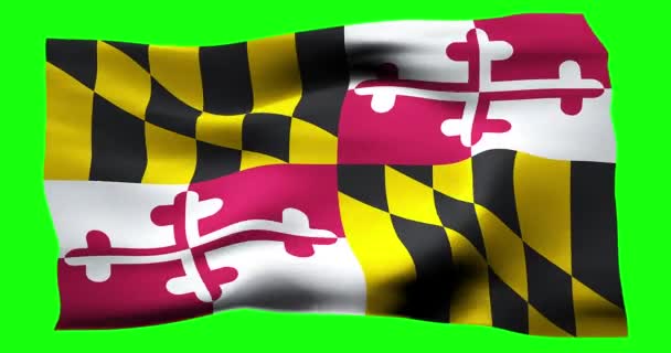 Realistisch Schwenkende Flagge Von Maryland Illustration Der Wellenförmigen Struktur Des — Stockvideo