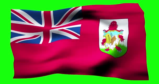 Realistická Vlajka Bermud Ilustrace Vlnité Struktury Větru — Stock video