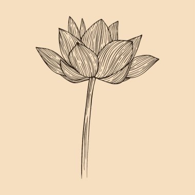 Çizgi sanatı ile Lotus çiçek vektör illüstrasyonu