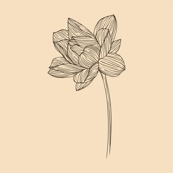 Illustration Vectorielle Fleur Lotus Avec Line Art — Image vectorielle
