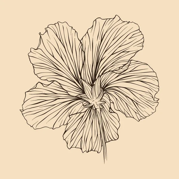 Hibiscus Flor Vector Ilustración Con Línea Arte — Vector de stock