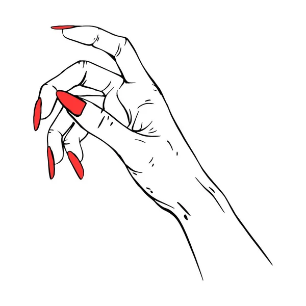 Lange Rote Nägel Handgezeichnete Geste Skizze Vektor Illustration Linie Kunst — Stockvektor