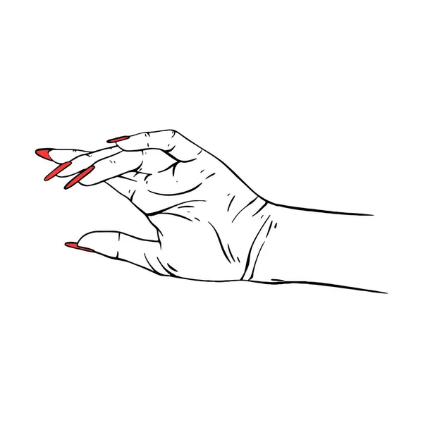 Longas Unhas Vermelhas Mão Desenhado Gesto Esboço Vetor Ilustração Linha —  Vetores de Stock