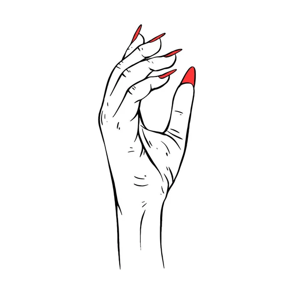 Lange Rote Nägel Handgezeichnete Geste Skizze Vektor Illustration Linie Kunst — Stockvektor