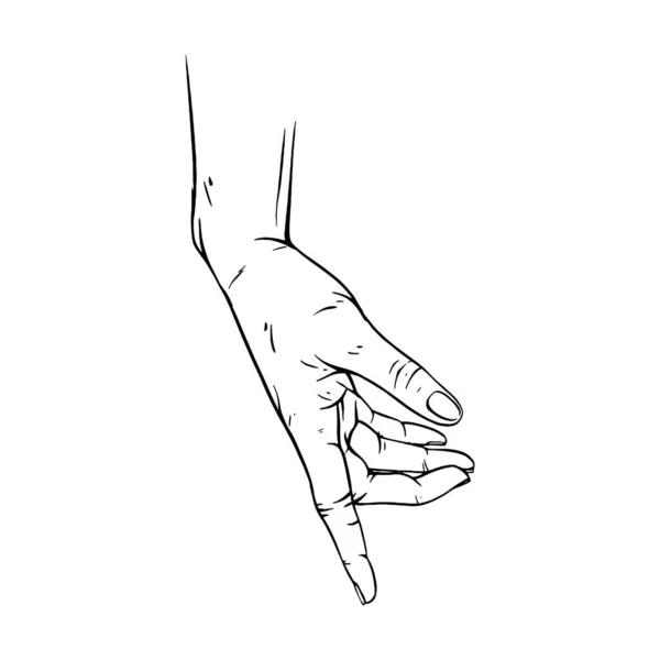 Mão Desenhado Gesto Esboço Vetor Ilustração Linha Arte — Vetor de Stock