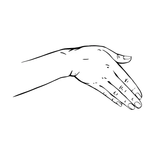 Handritad Gest Skiss Vektor Illustration Linje Konst — Stock vektor